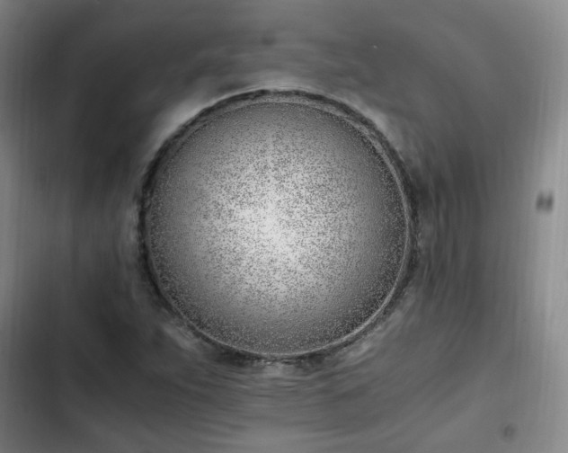 X0000102761263200808251020