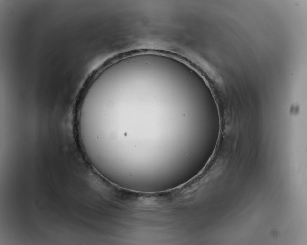 X0000102761264200808251020