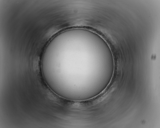 X0000102761265200808251020