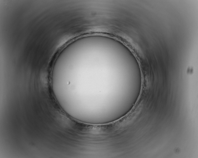 X0000102761266200808251020