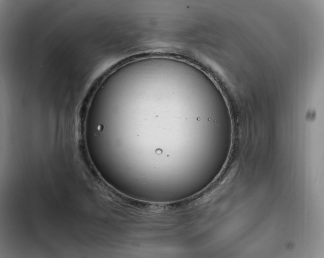 X0000102761267200808251020