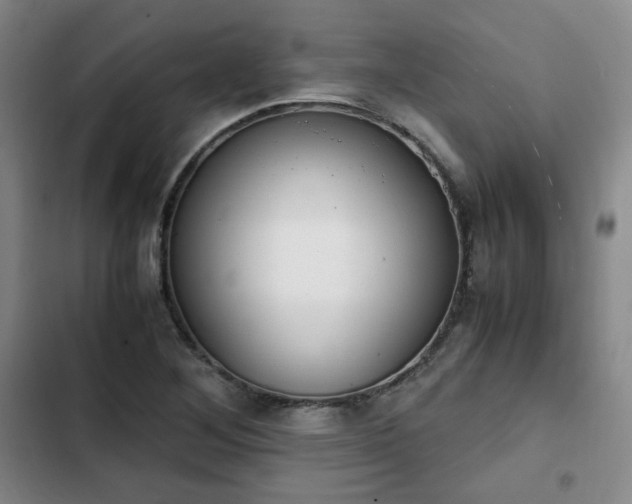 X0000102761268200808251020