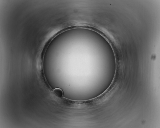 X0000102761269200808251020