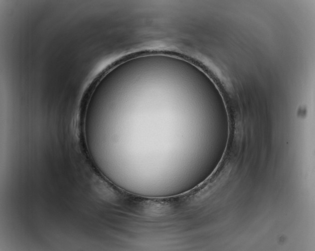 X0000102761270200808251020