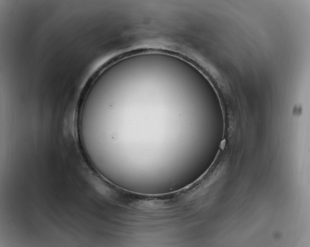 X0000102761272200808251020