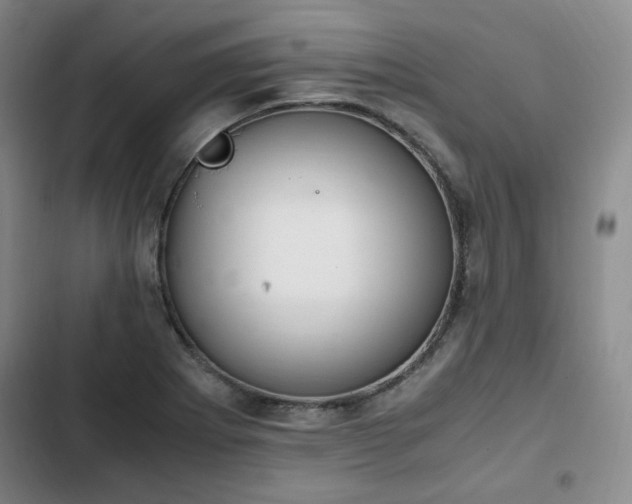 X0000102761273200808251020