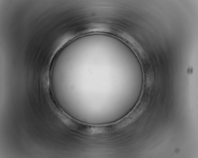 X0000102761274200808251020