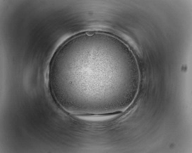 X0000102761275200808251020