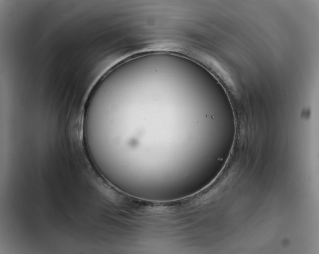 X0000102761276200808251020