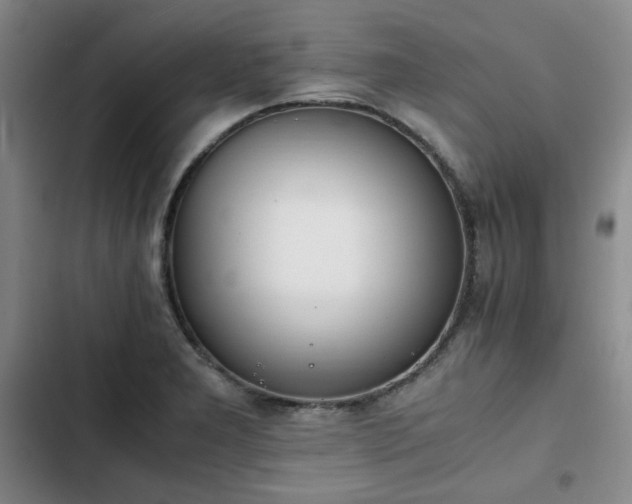 X0000102761277200808251020