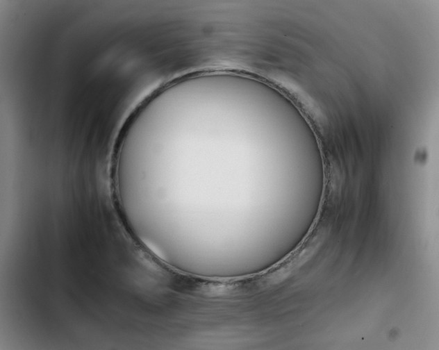 X0000102761278200808251020