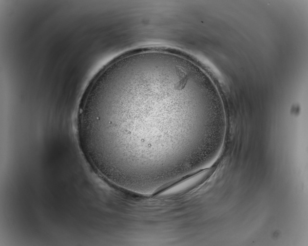 X0000102761279200808251020