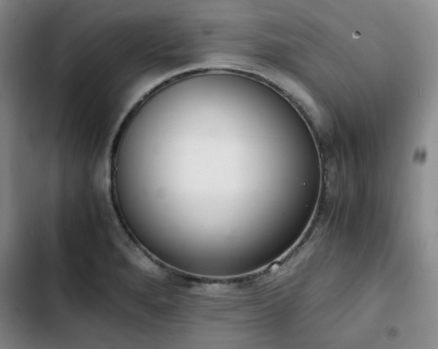 X0000102761280200808251020