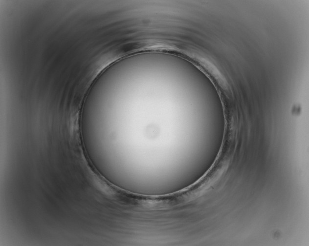 X0000102761281200808251020