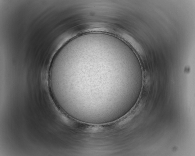 X0000102761282200808251020