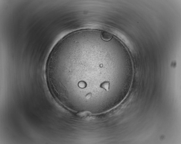 X0000102761283200808251020