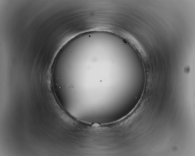 X0000102761284200808251020