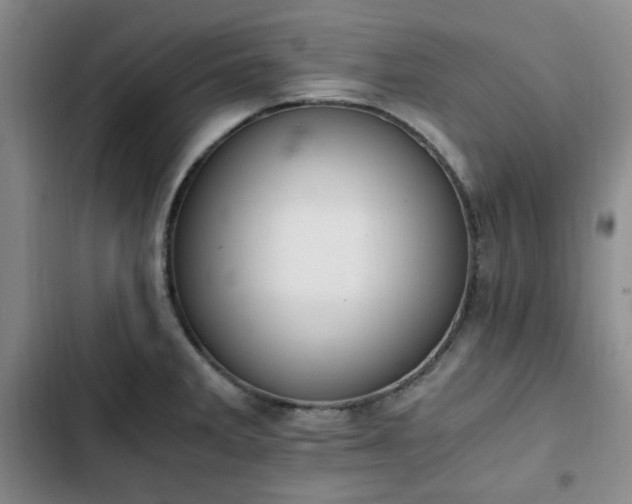 X0000102761285200808251020