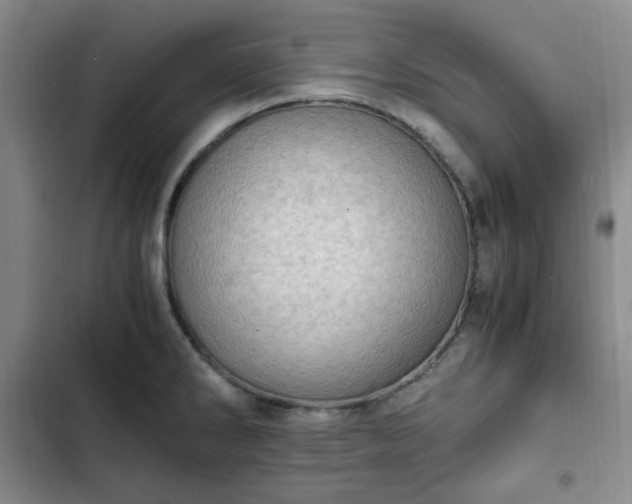 X0000102761286200808251020