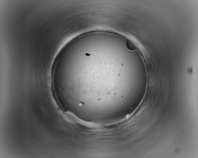 X0000102761287200808251020