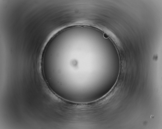 X0000102761288200808251020