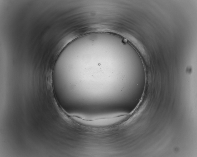 X0000102761289200808251020