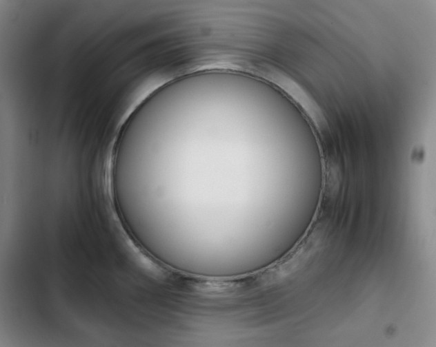 X0000102761290200808251020