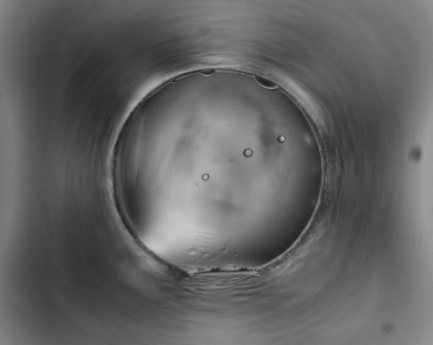 X0000102761291200808251020