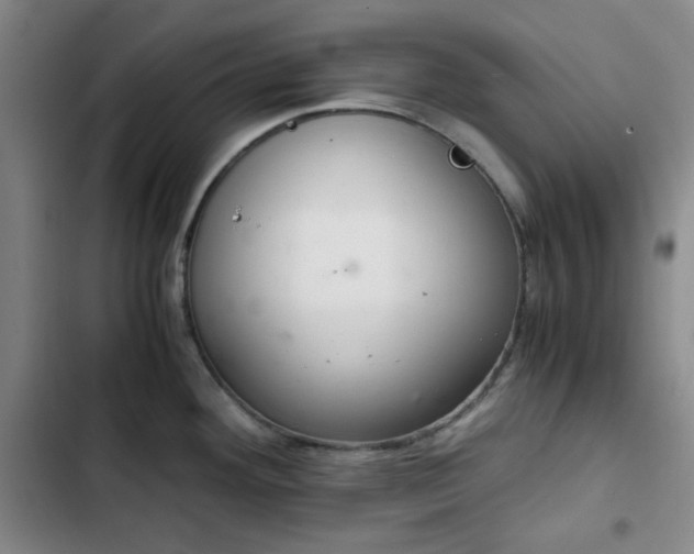 X0000102761292200808251020