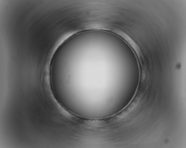 X0000102761293200808251020