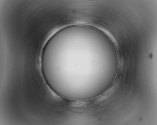 X0000102761294200808251019