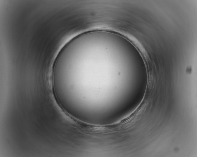 X0000102761295200808251019