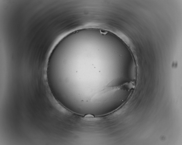 X0000102761296200808251019