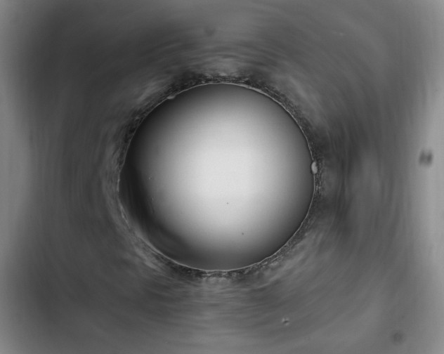 X0000102761297200808251019