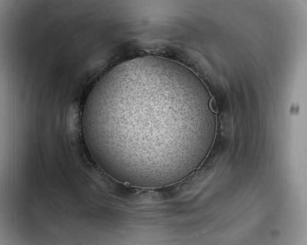 X0000102761298200808251019