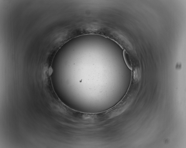 X0000102761299200808251019