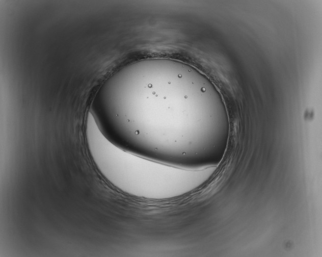 X0000102761300200808251019