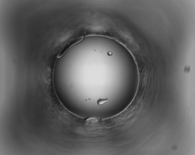 X0000102761301200808251019