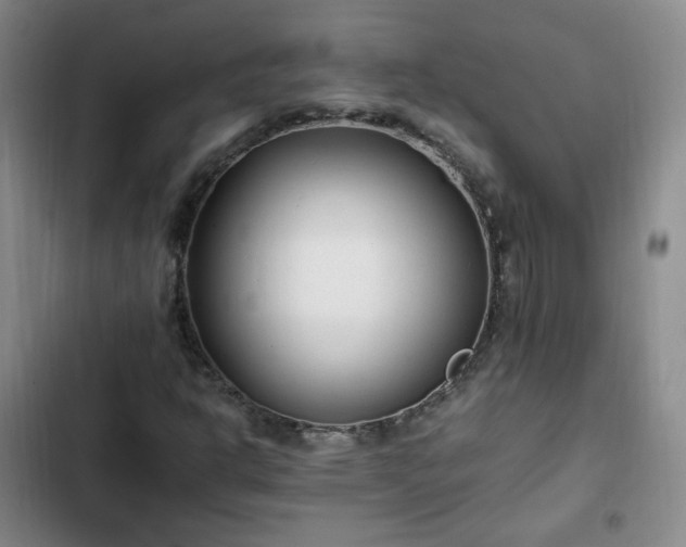 X0000102761302200808251019