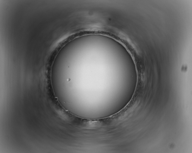 X0000102761304200808251019