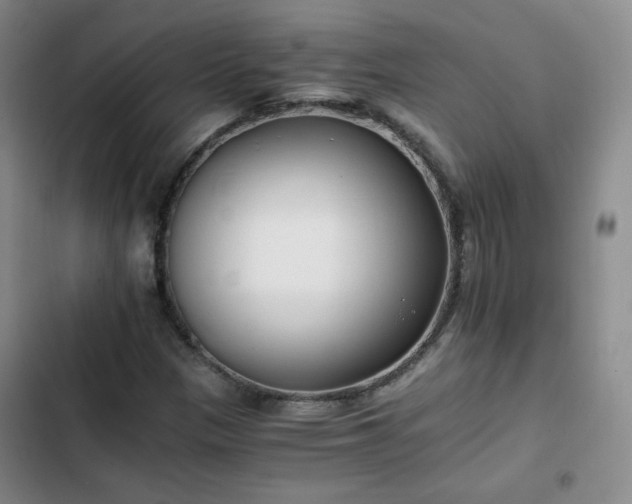 X0000102761305200808251019