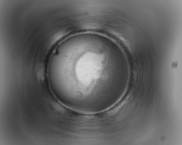 X0000102761306200808251019