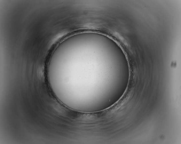 X0000102761307200808251019