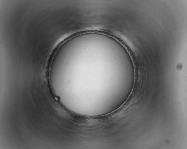 X0000102761308200808251019