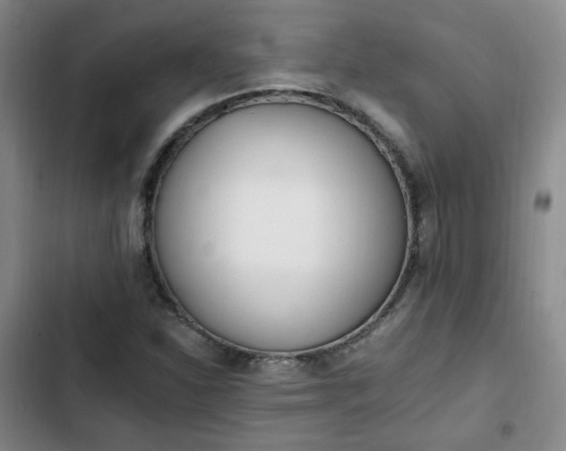 X0000102761310200808251019