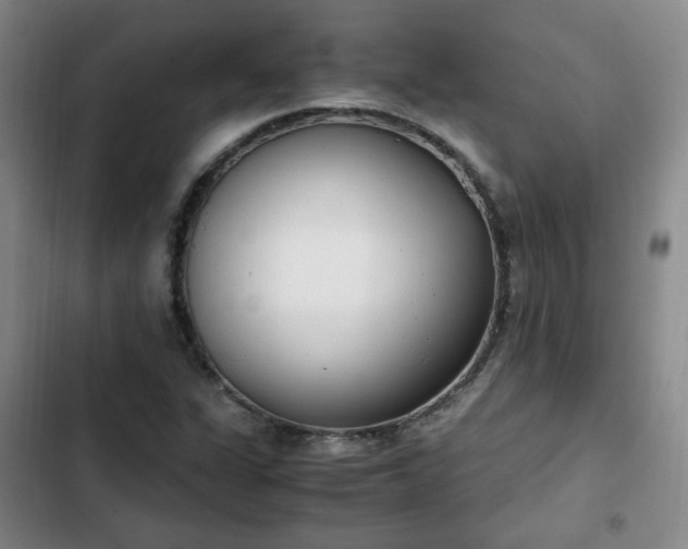 X0000102761311200808251019