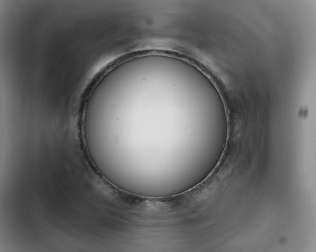 X0000102761312200808251019