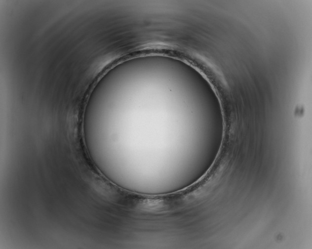 X0000102761313200808251019