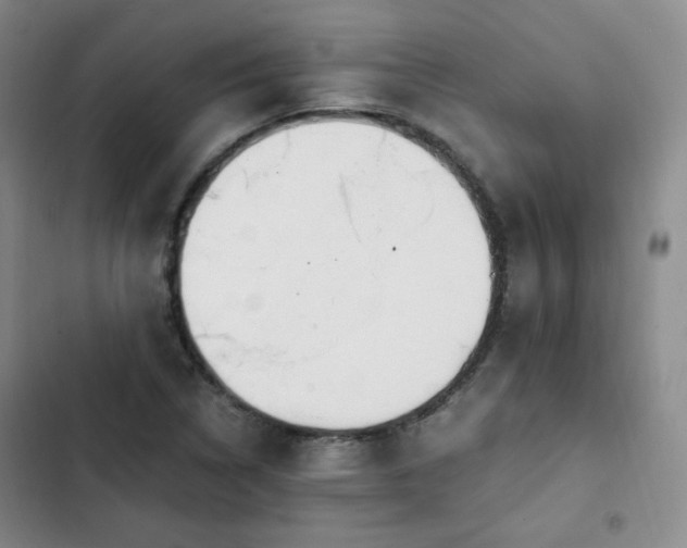 X0000102761314200808251019