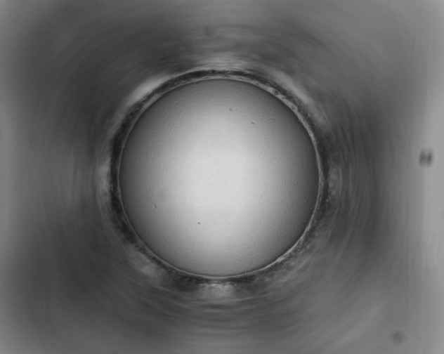 X0000102761315200808251019